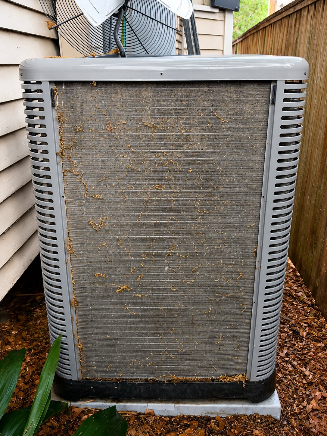 A/C condenser coils clogged with cottonwood and yard debris before cleaning